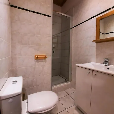 Bosson - Magnifique 12 Personnes Aux Pieds Mae-3764 Apartment